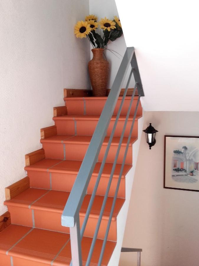 Chambres D'Hotes Mas La Tardosse Prats-de-Mollo-la-Preste Dış mekan fotoğraf